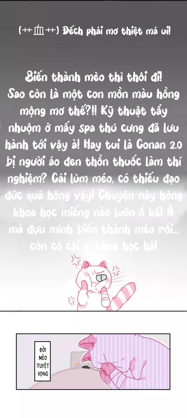 Xã Hội Mồn Lèo - Chap 1