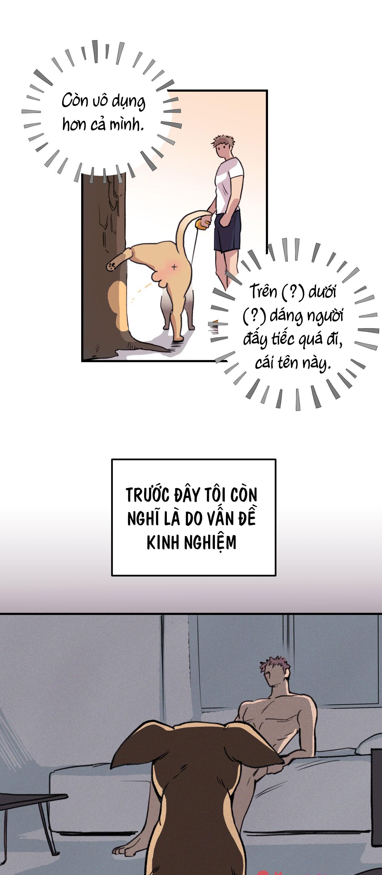 MẬT GẤU - Chap 1