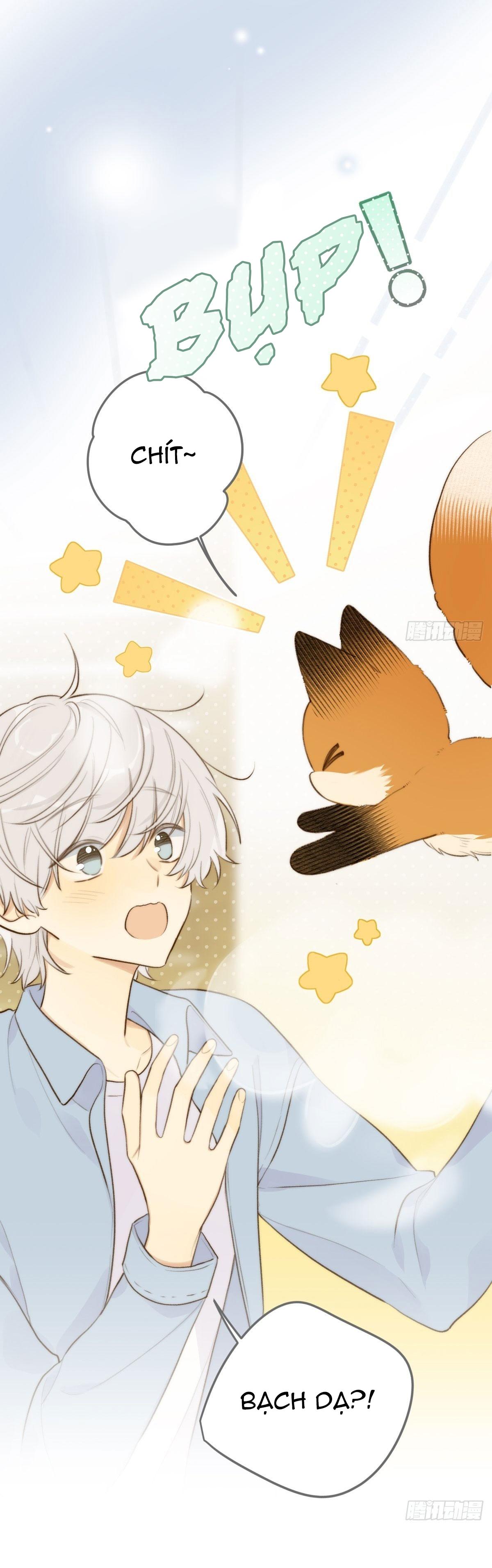 Chỉ Riêng Đuôi Là Không Được!!! - Chap 13