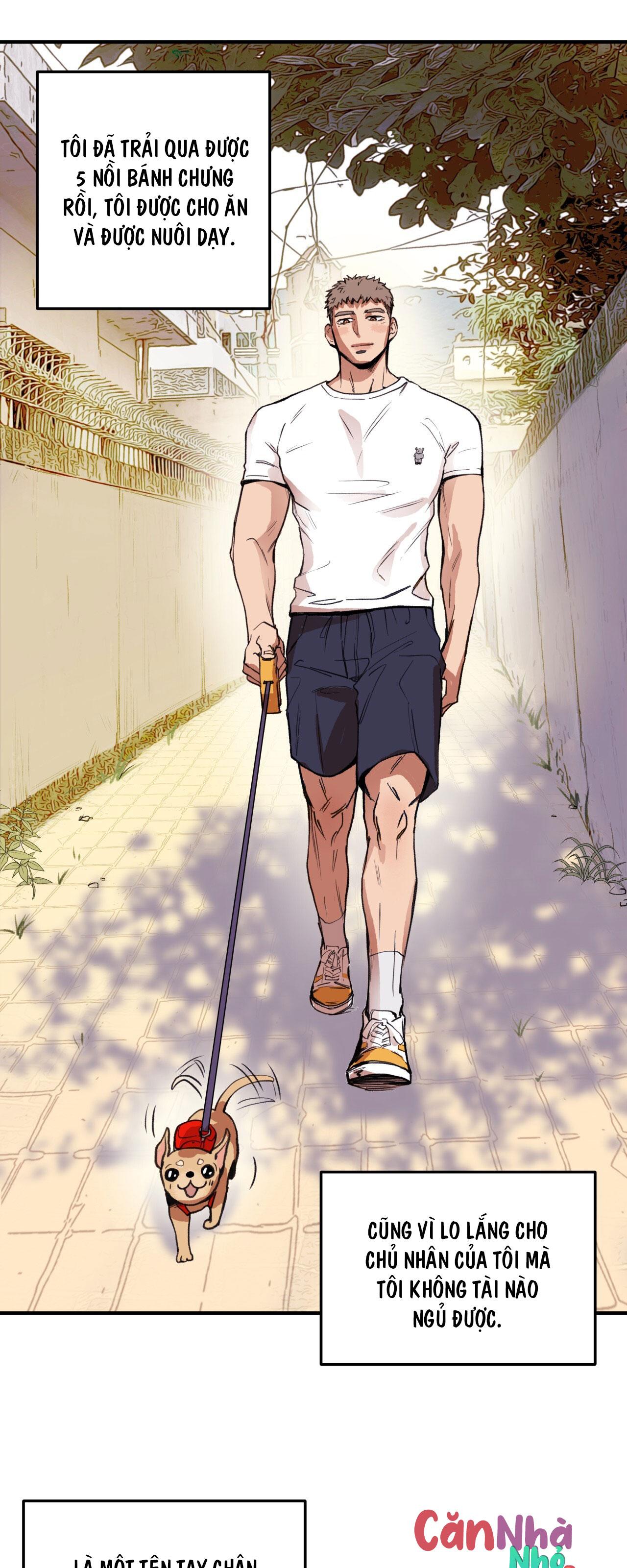 MẬT GẤU - Chap 1