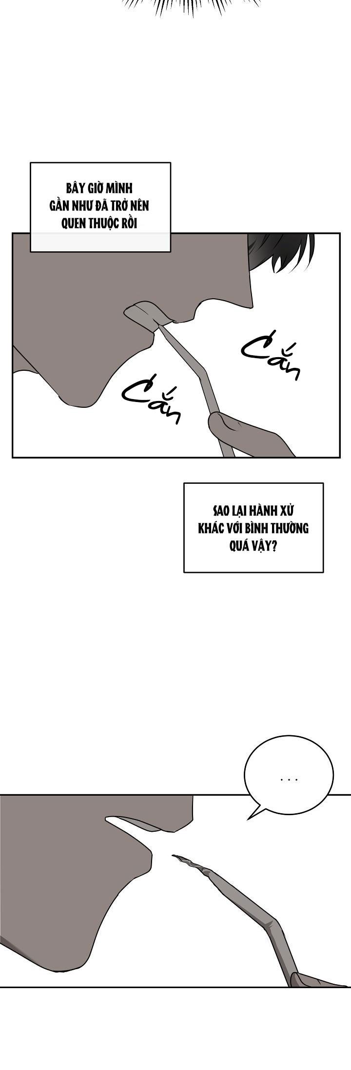 DƯỠNG THÚ CƯNG - Chap 24