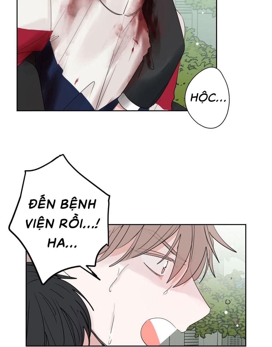 Tiền Bối, Chúng Ta Cần Nói Chuyện - Chap 22