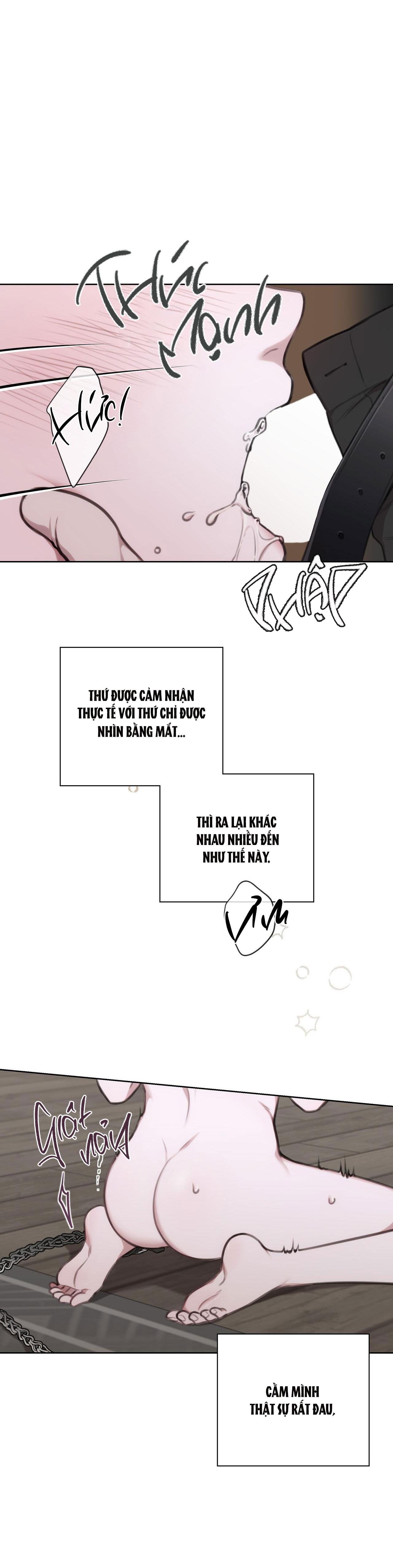 NHẬT KÝ GIAM CẦM THƯ KÝ JIN - Chap 8