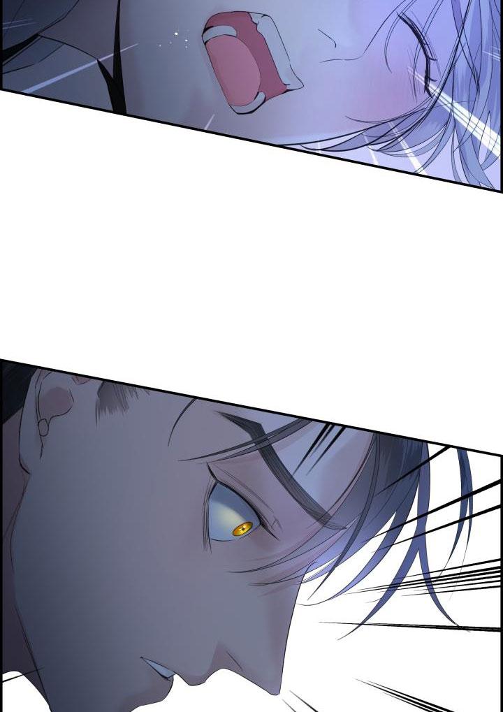 CƠ CHẾ BẢO VỆ - Chap 21