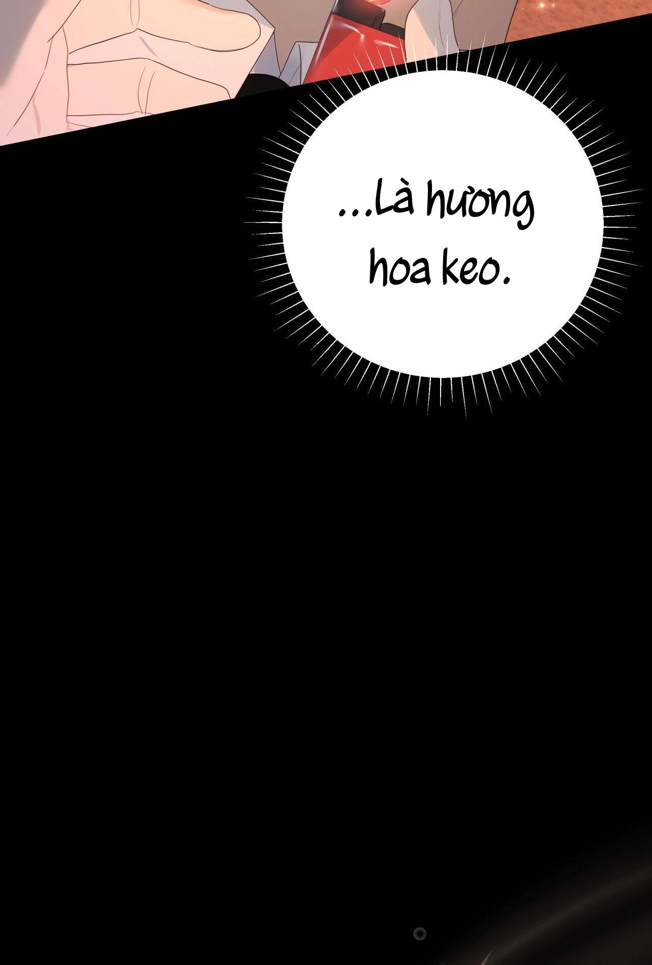 VỊ NGỌT KHÔNG ĐƯỜNG (SWEET NOT SUGAR) - Chap 19