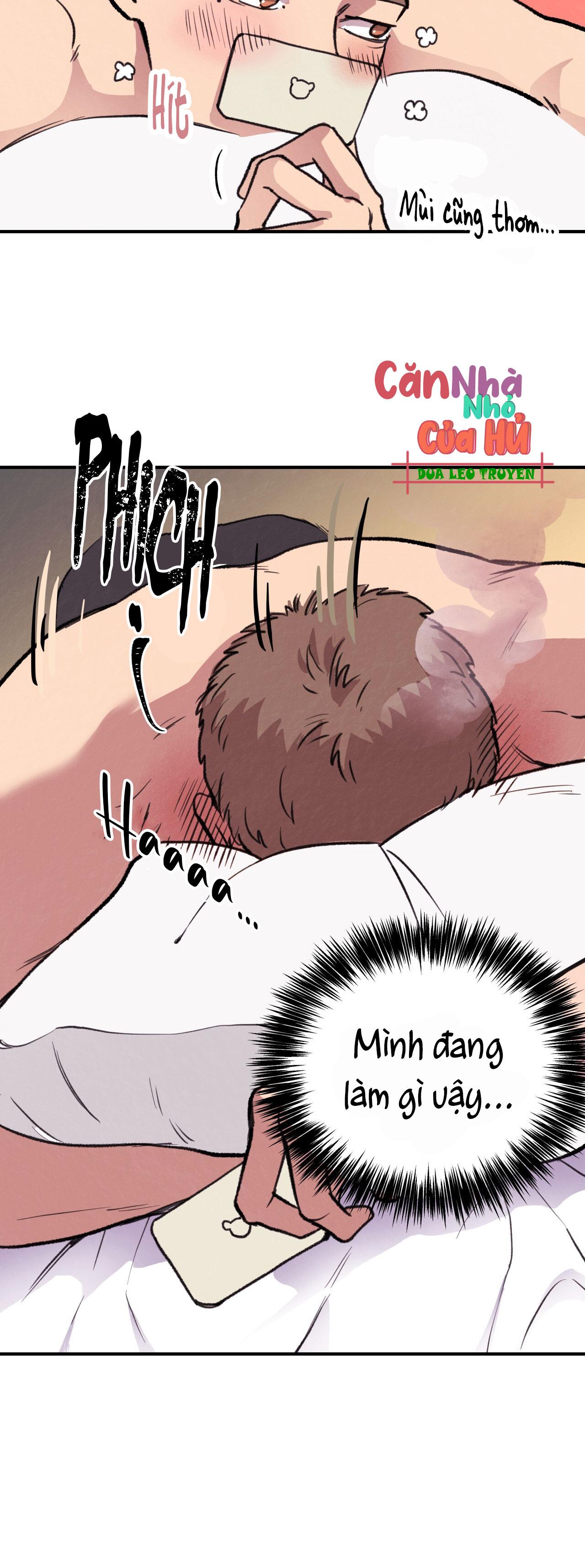 MẬT GẤU - Chap 1
