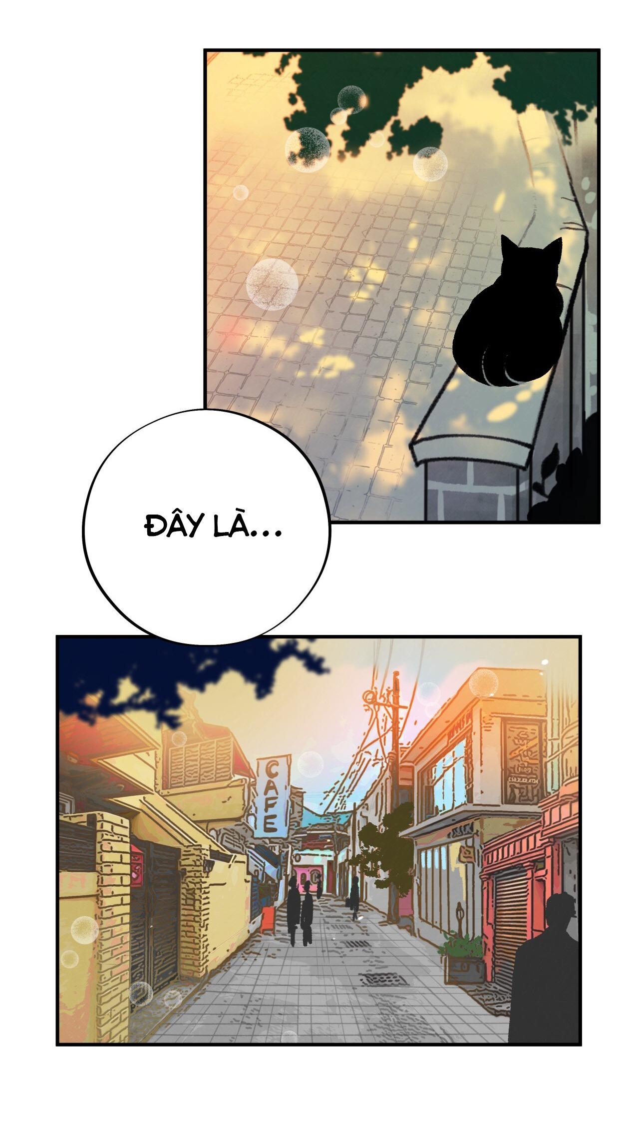 (END) MẬT GẤU - Chap 2