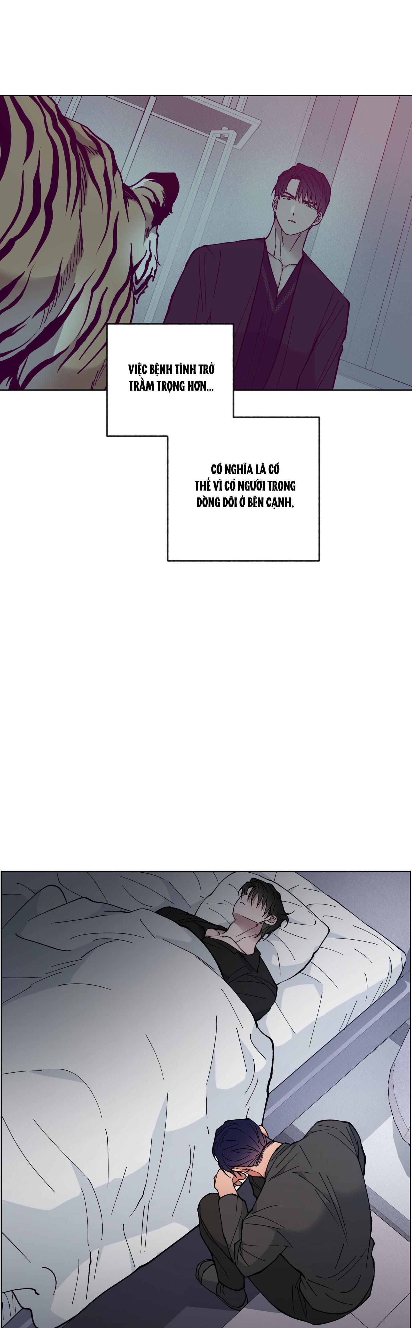 BÌNH MINH CỦA RỒNG - Chap 31