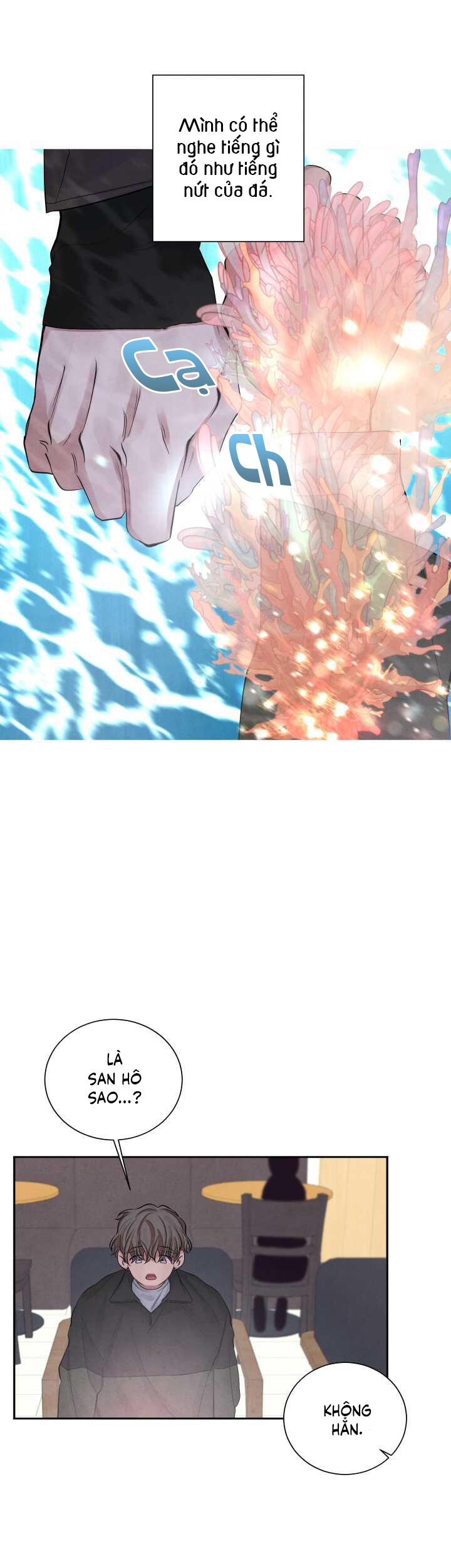 Âm Thanh Của San Hô - Chap 3