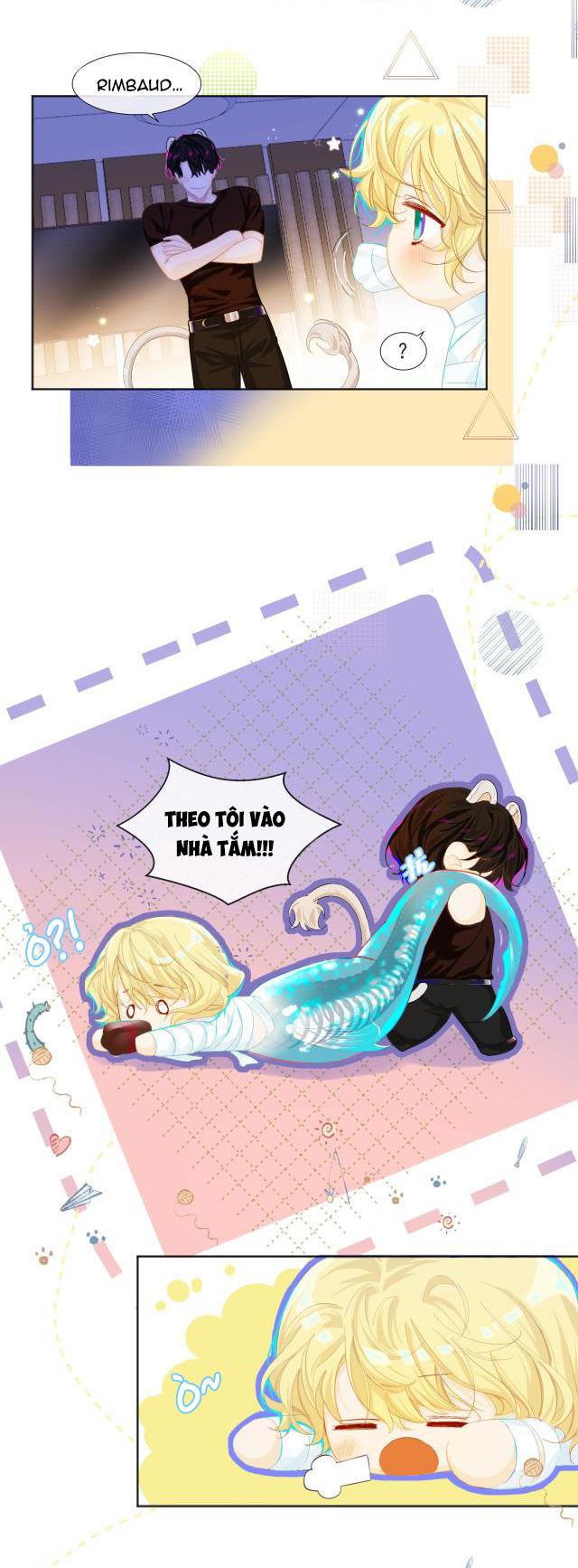 Nhân ngư sa ngã - Chap 2