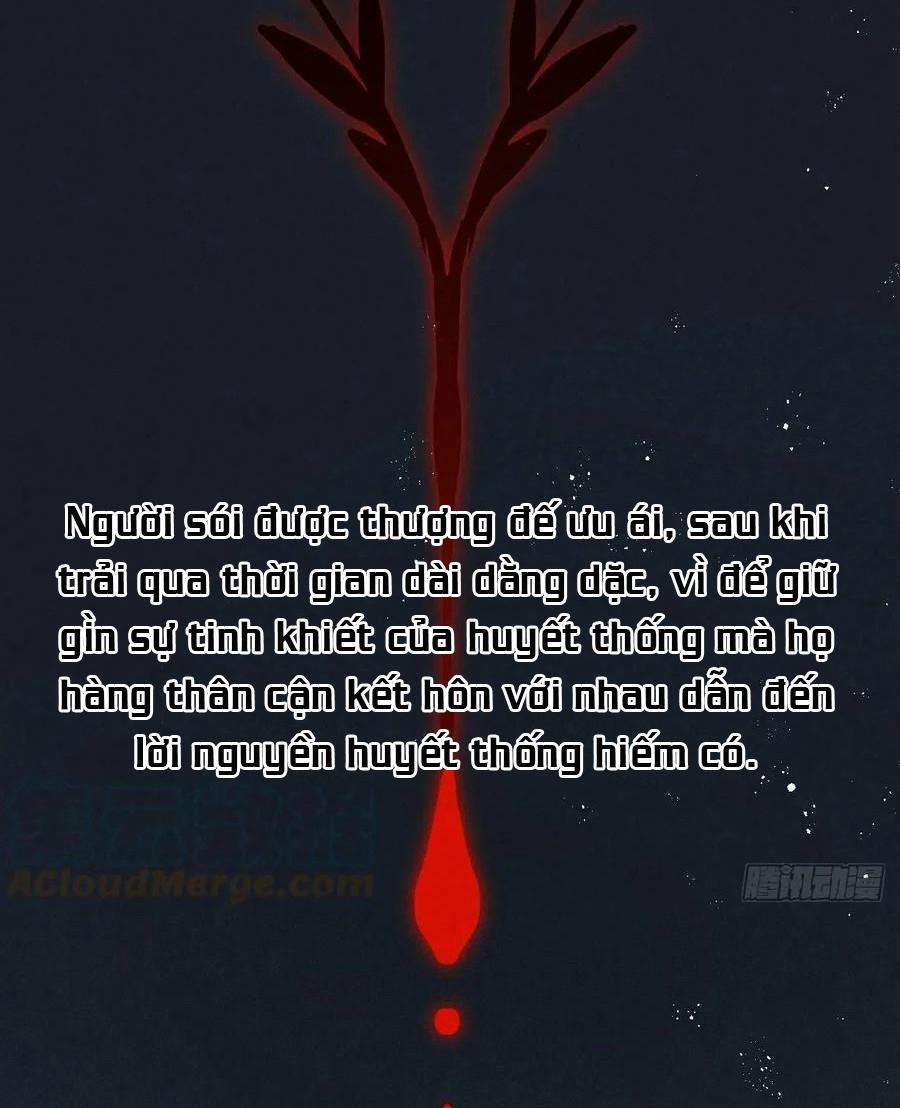 Lang Sói Thượng Khẩu - Chap 40