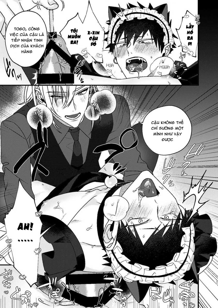 Tổng hợp oneshot nhà Guess - Chap 21