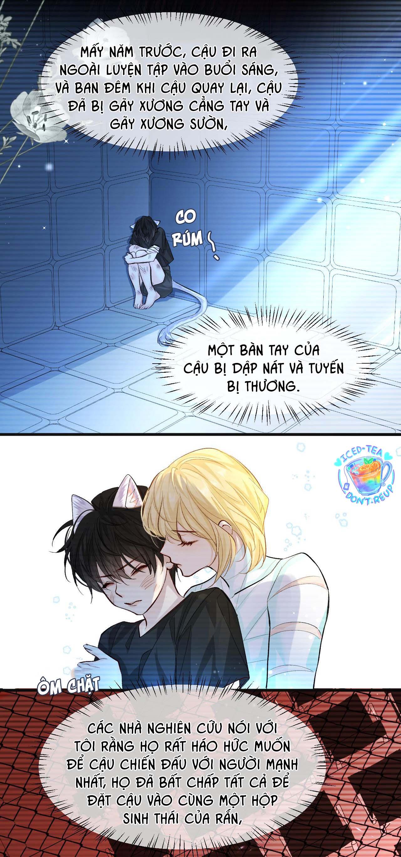 Nhân ngư sa ngã - Chap 19