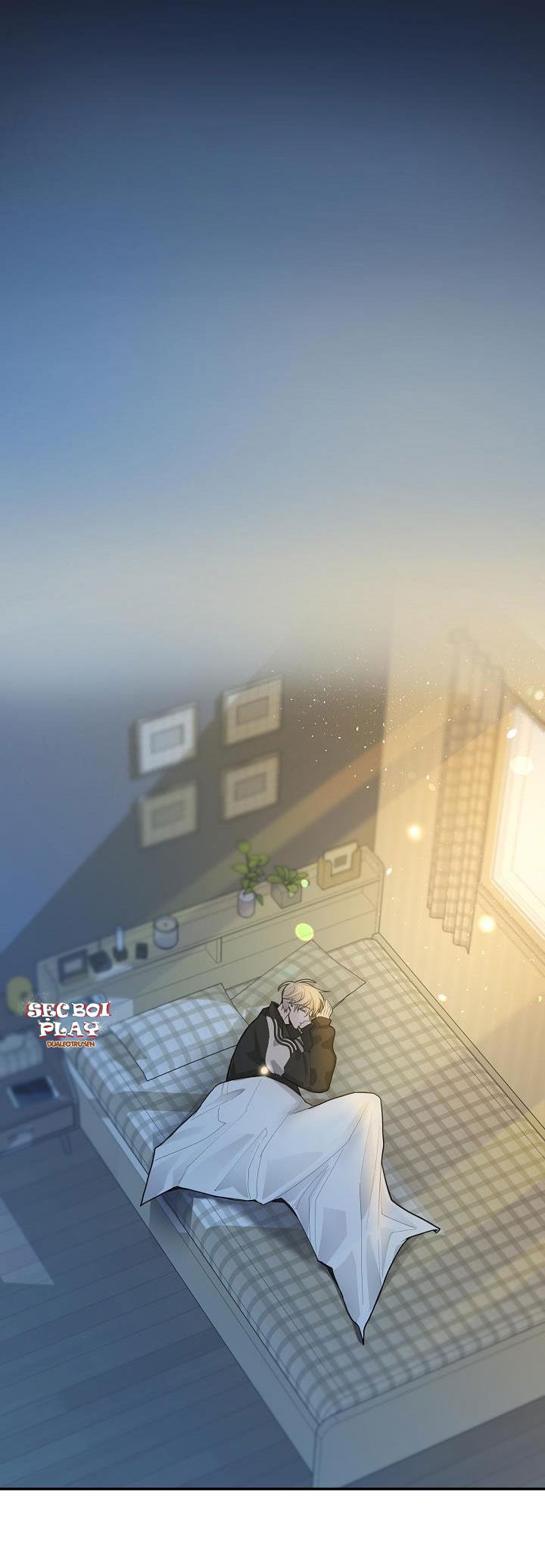 CƠ CHẾ BẢO VỆ - Chap 8