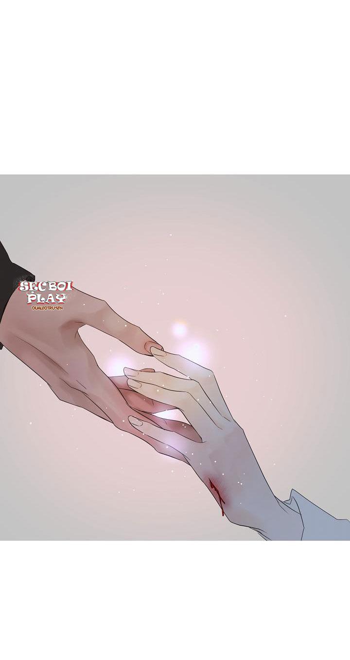 CƠ CHẾ BẢO VỆ - Chap 8