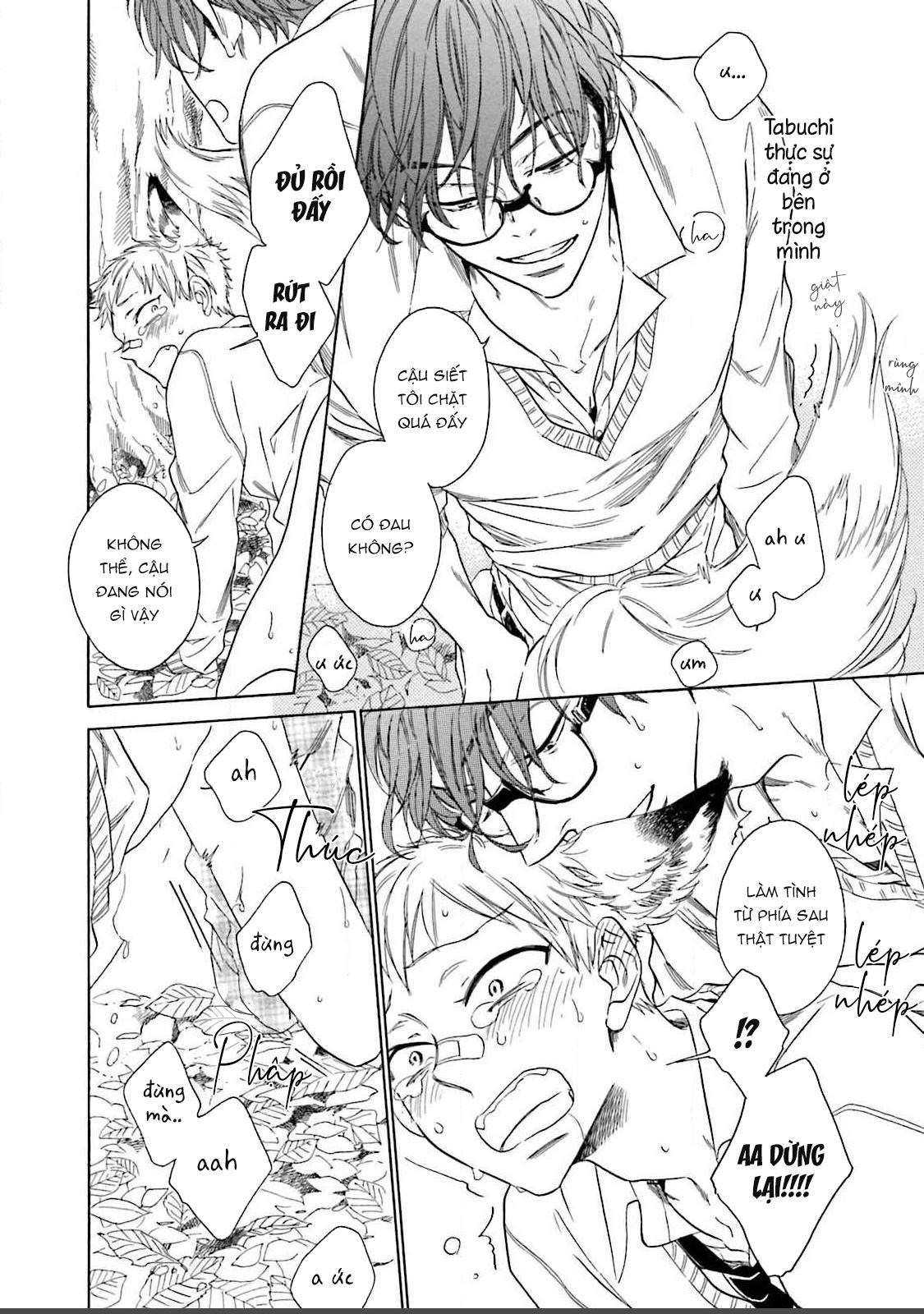 CẬU CÁO À, ĐỪNG QUYẾN RŨ TÔI NỮA - Chap 1