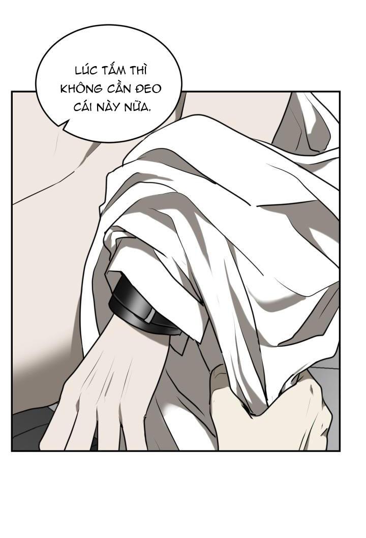 DƯỠNG THÚ CƯNG - Chap 4