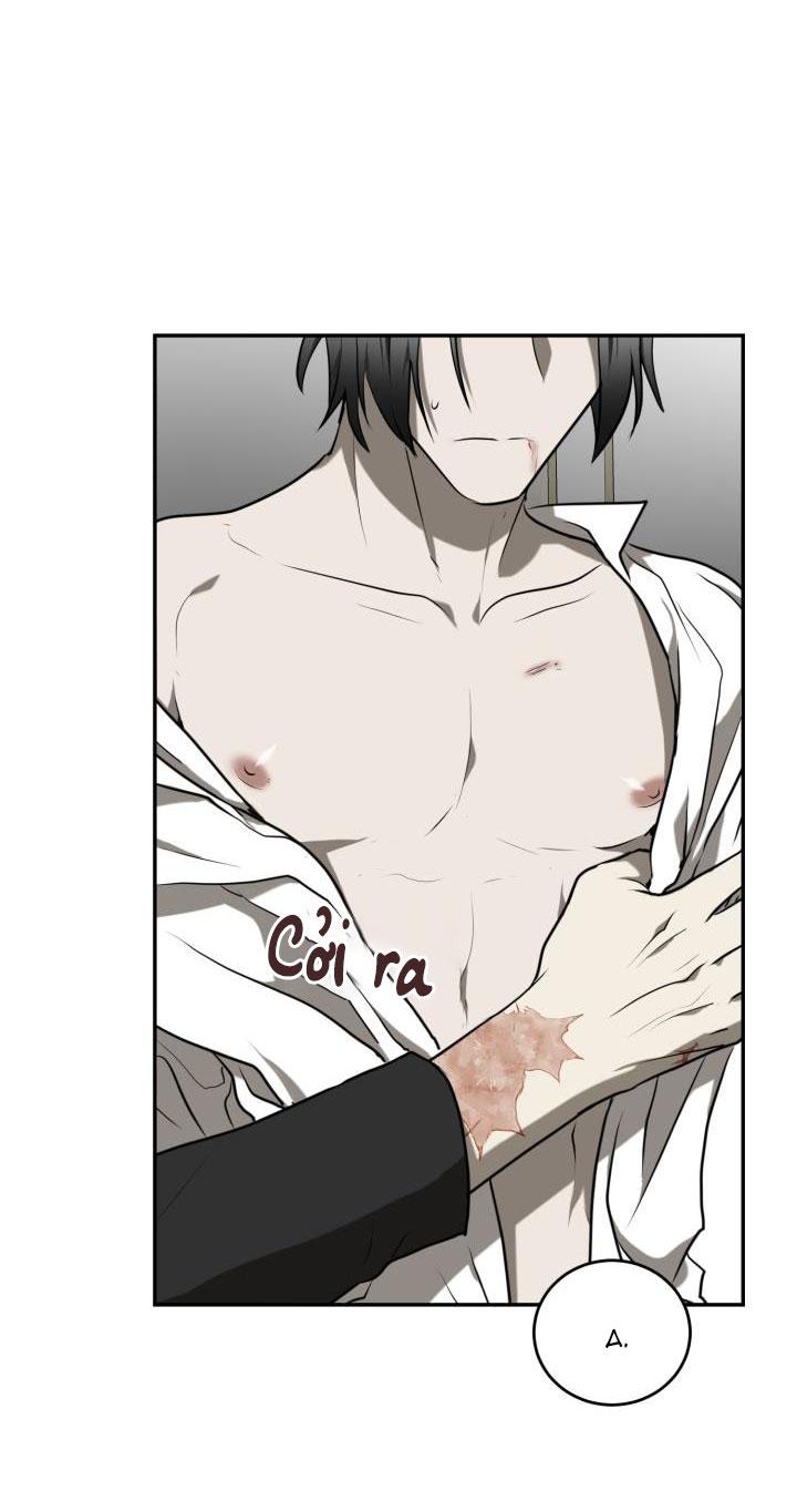 DƯỠNG THÚ CƯNG - Chap 4