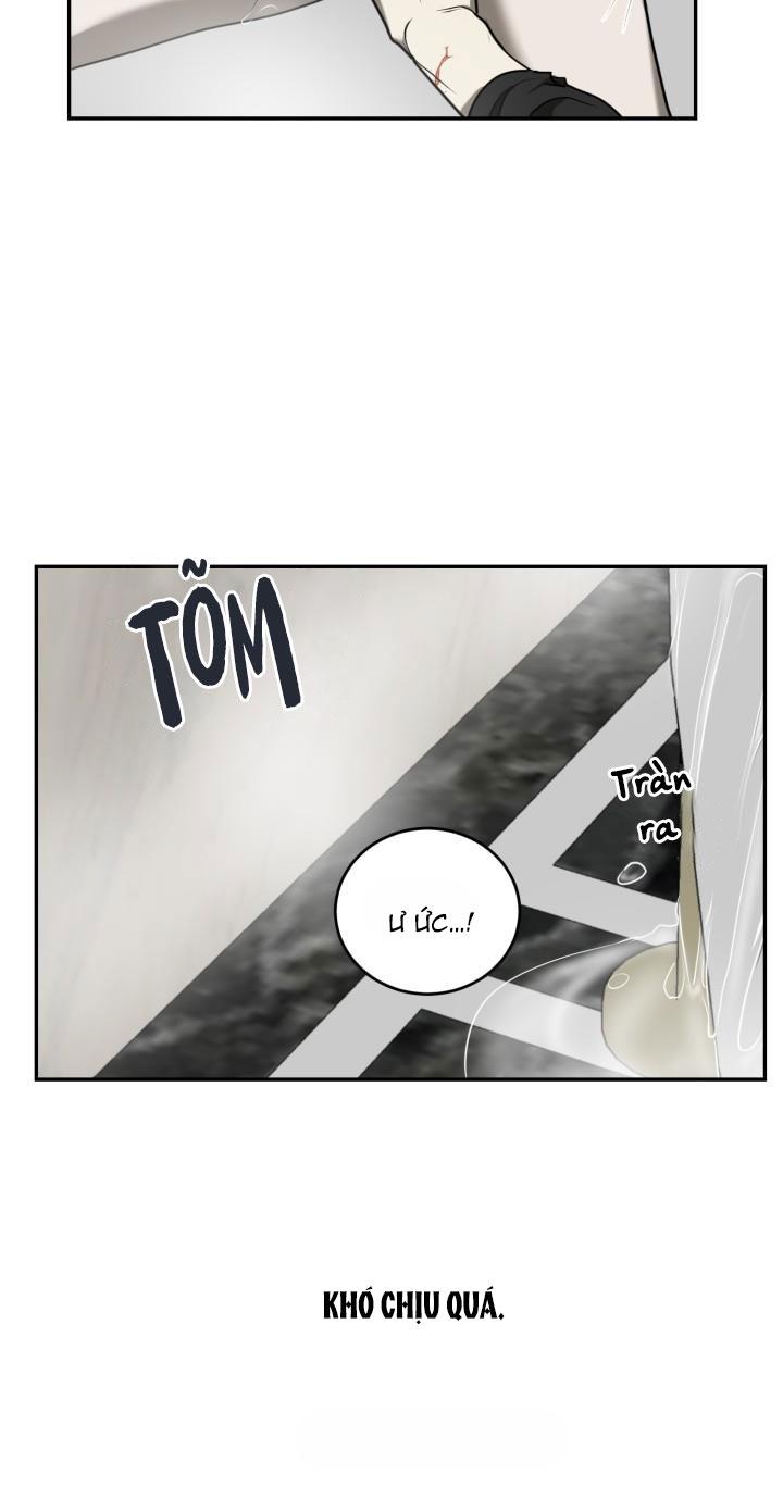 DƯỠNG THÚ CƯNG - Chap 4