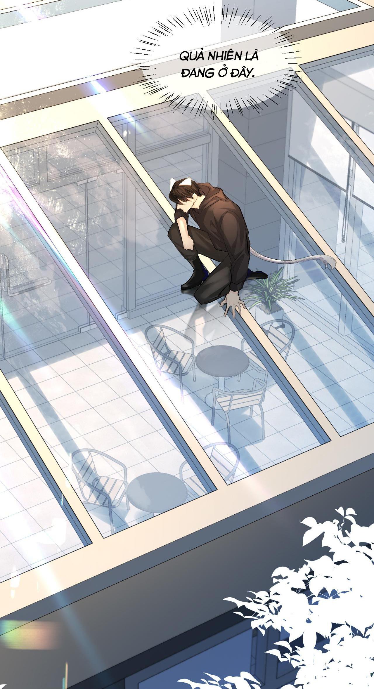 Nhân ngư sa ngã - Chap 25