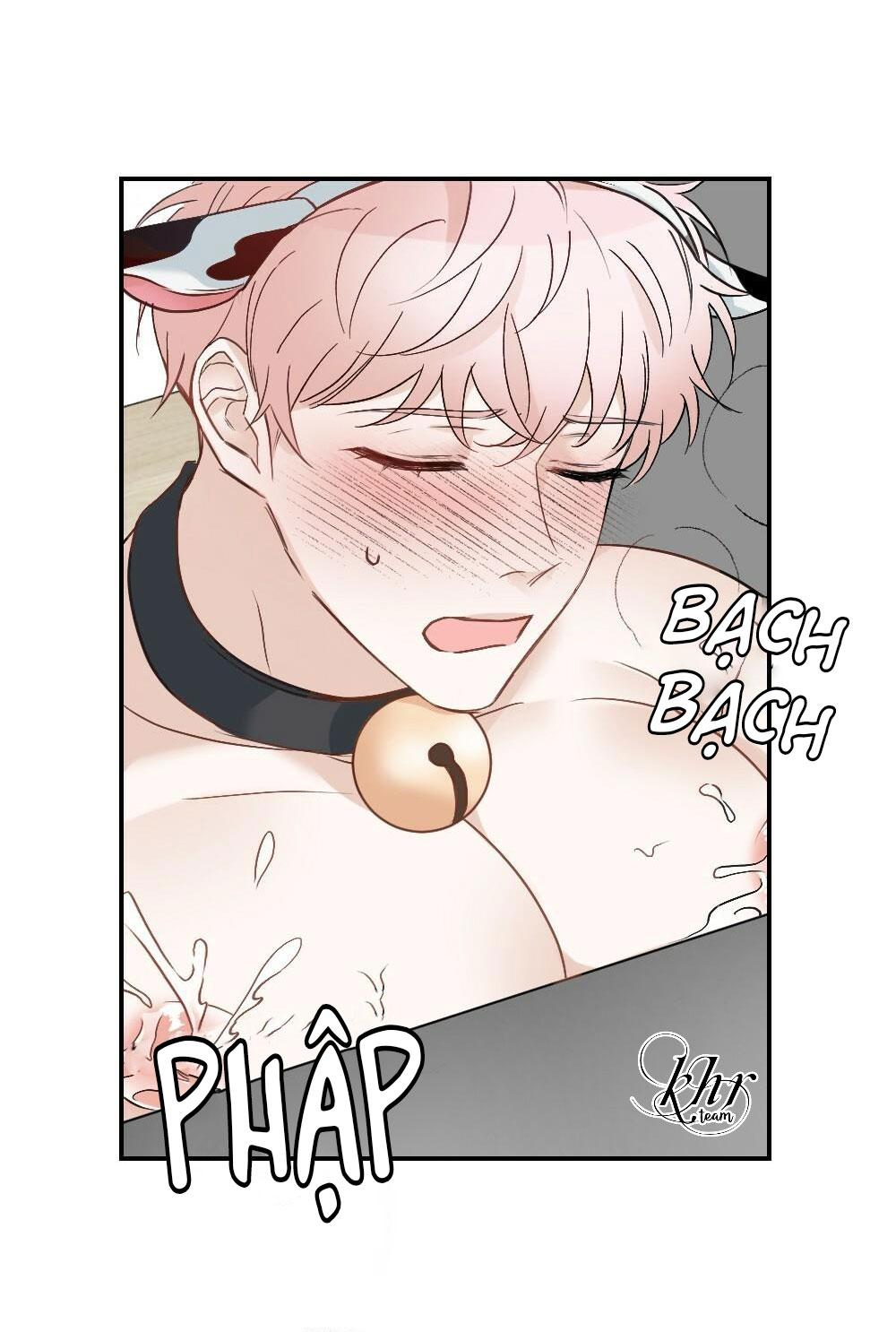 TUYỂN TẬP NGỰC BỰ, CUNG KHỦ CỦA NHÀ KIM - Chap 10