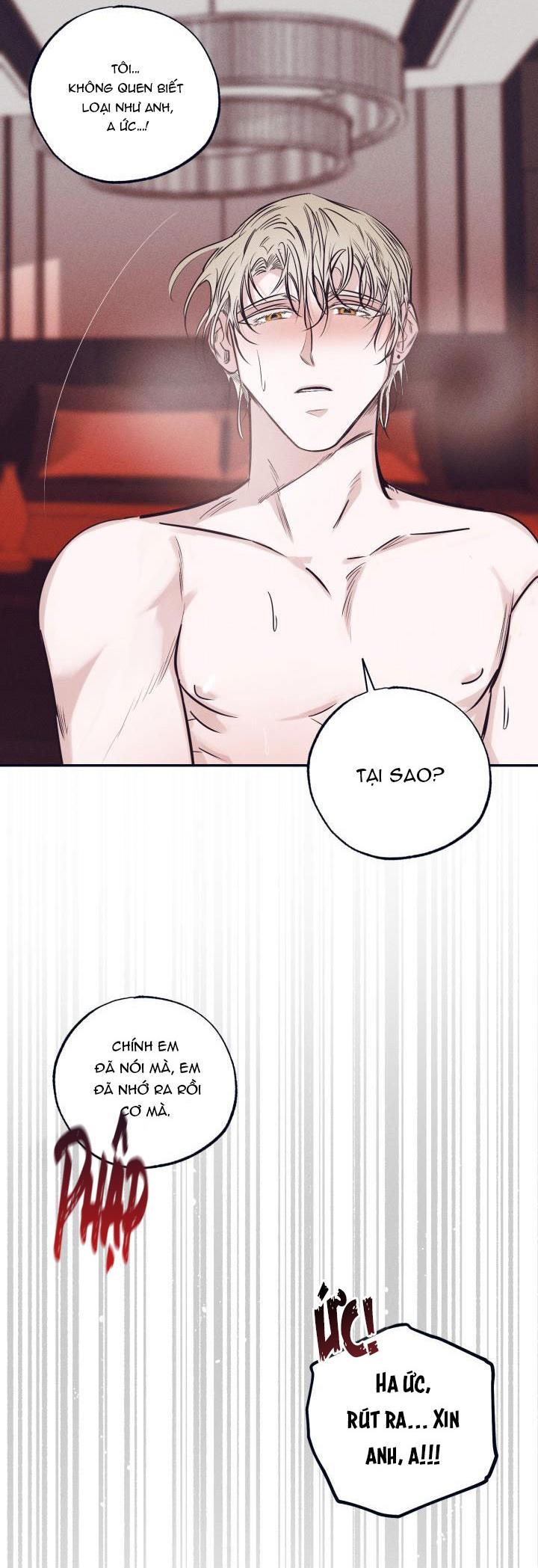 TUYỂN TẬP NGỰC BỰ, CUNG KHỦ CỦA NHÀ KIM - Chap 14