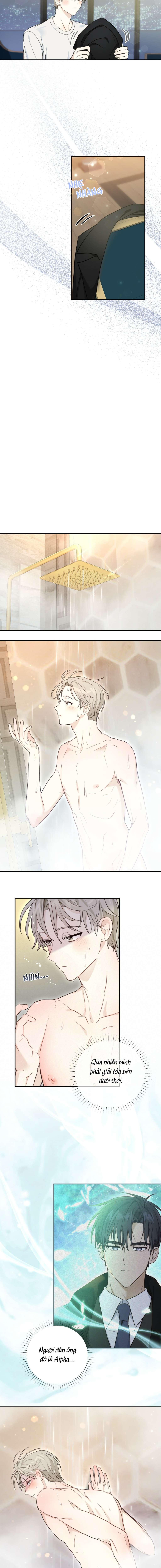 VỊ NGỌT KHÔNG ĐƯỜNG (SWEET NOT SUGAR) - Chap 2