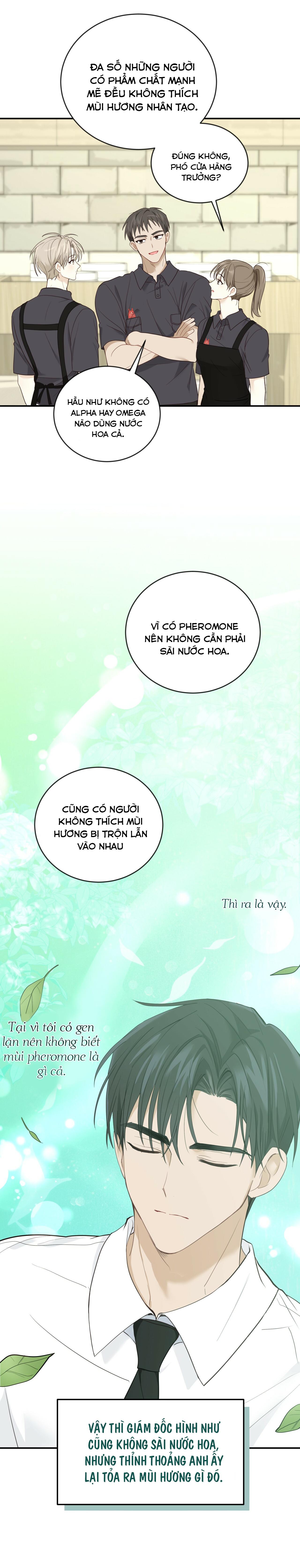 VỊ NGỌT KHÔNG ĐƯỜNG (SWEET NOT SUGAR) - Chap 9