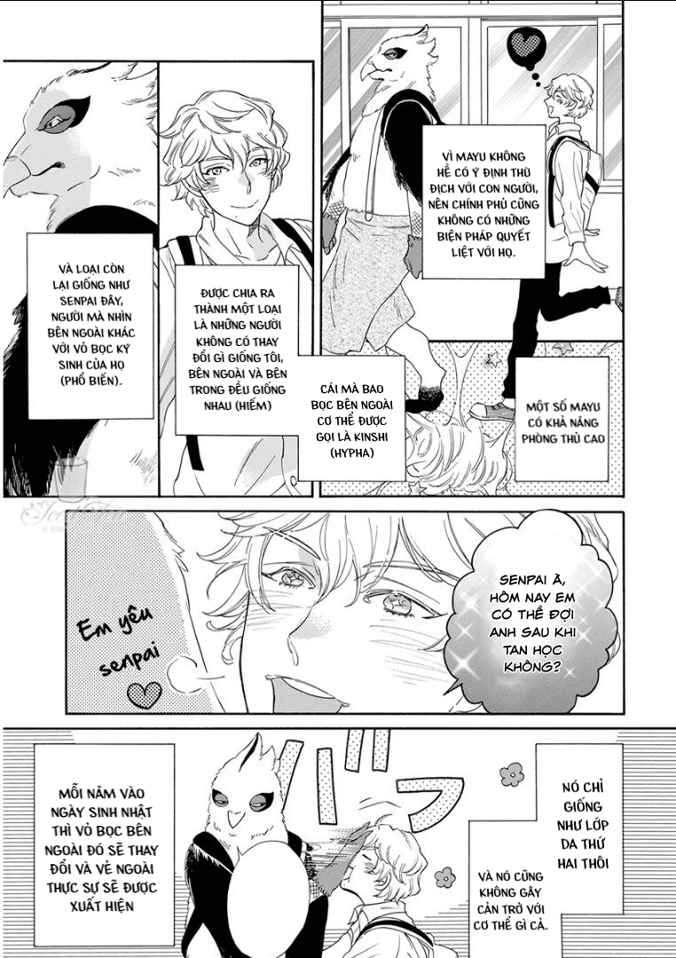 Tiền bối, Cái Kén và Tôi - Chap 1