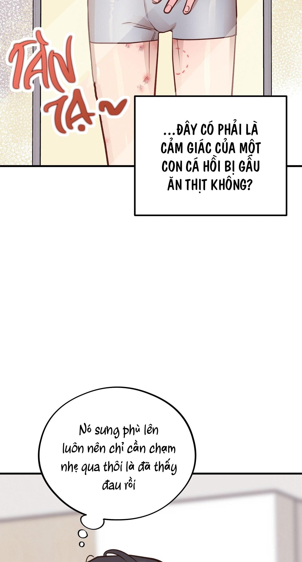 MẬT GẤU - Chap 29