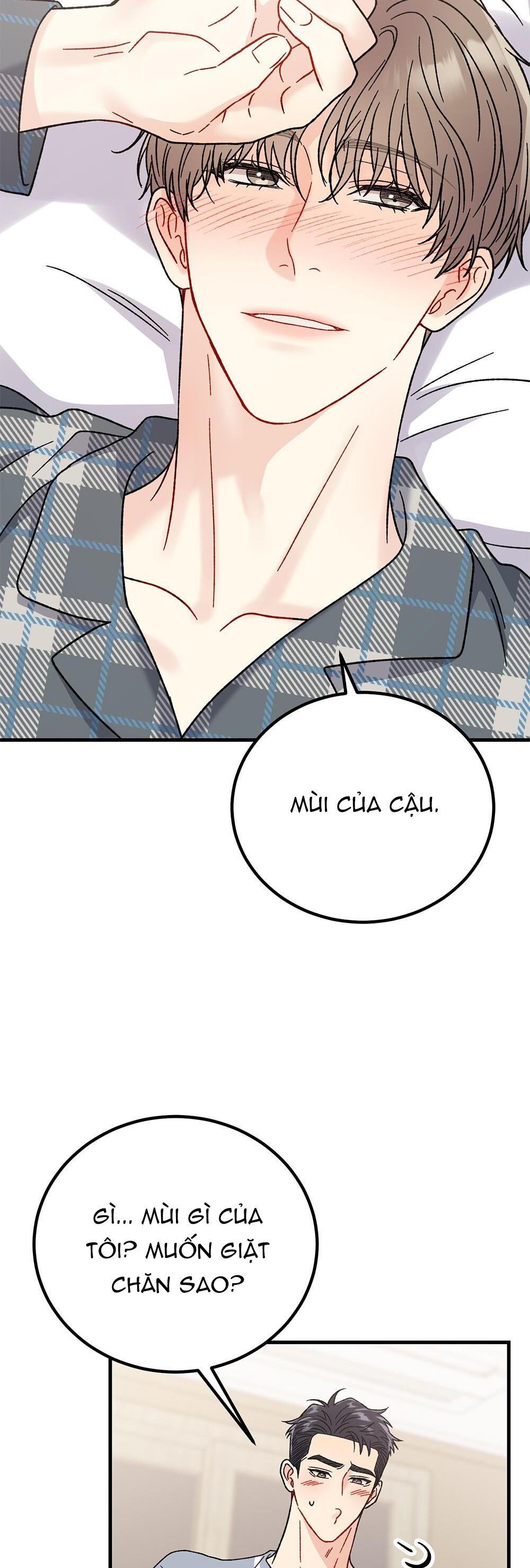 CẬU KHÔNG PHẢI LÀ GU CỦA TÔI - Chap 17