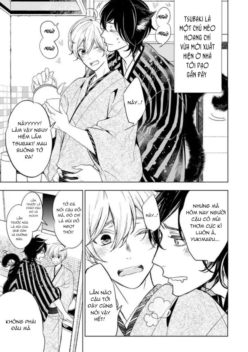 Vào Một Đêm Đầy Sao, Tình Yêu Đã Đến - Chap 4