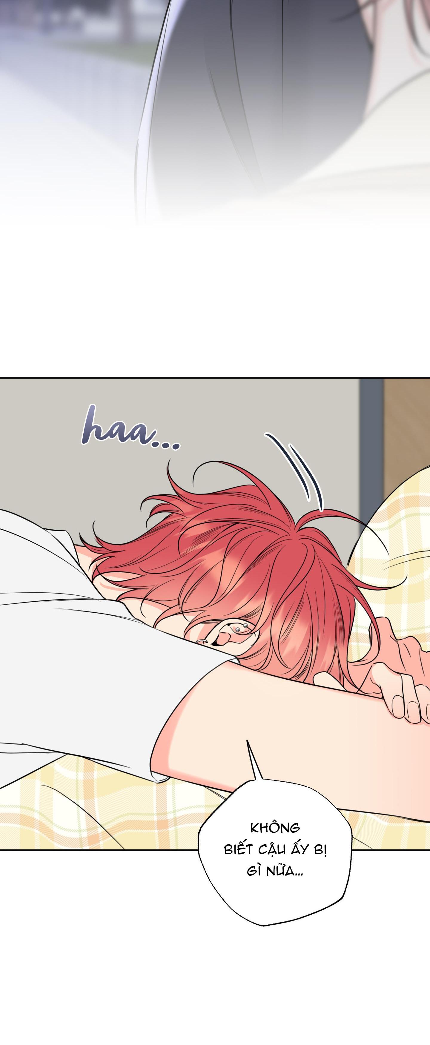 Honey Trouble - Chap 28