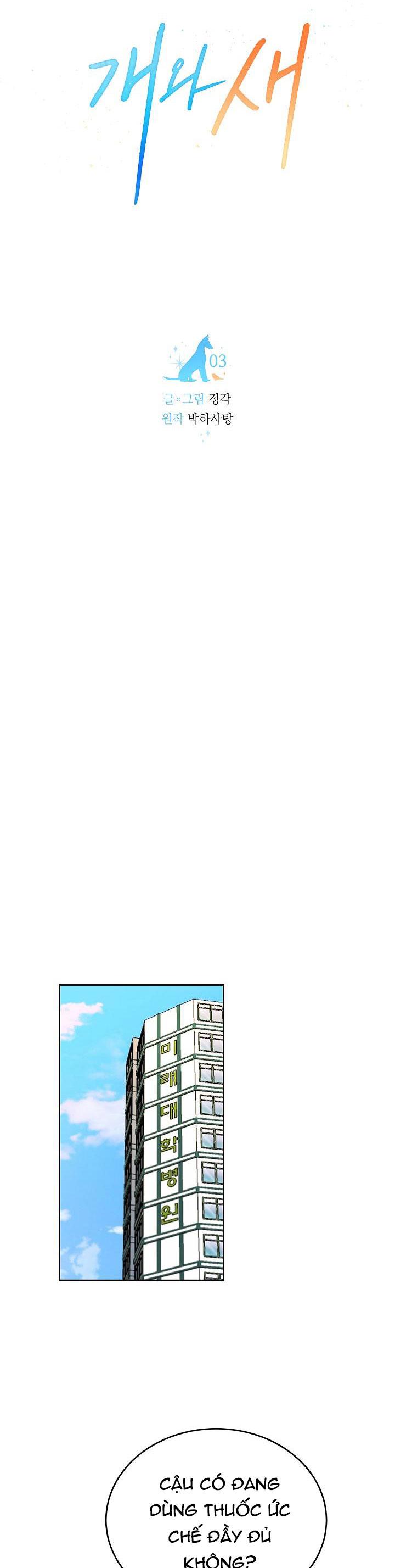 CHÓ VÀ CHIM - Chap 3