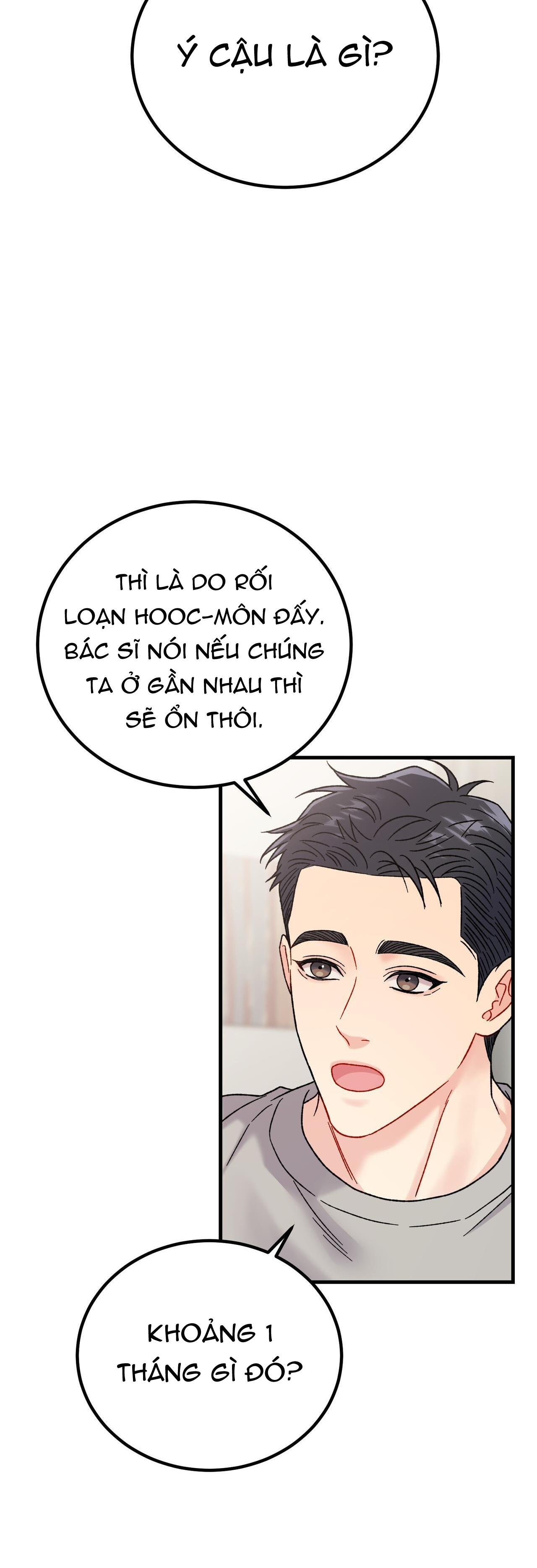 CẬU KHÔNG PHẢI LÀ GU CỦA TÔI - Chap 13