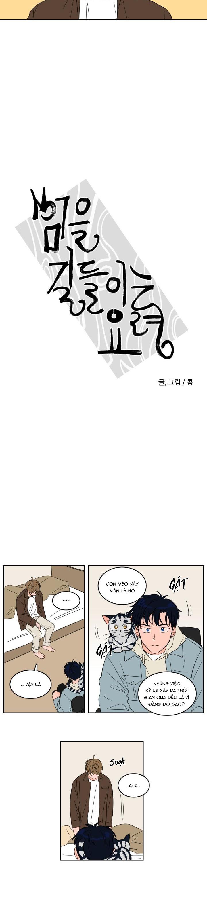 Mẹo Thuần Hóa Hổ - Chap 4