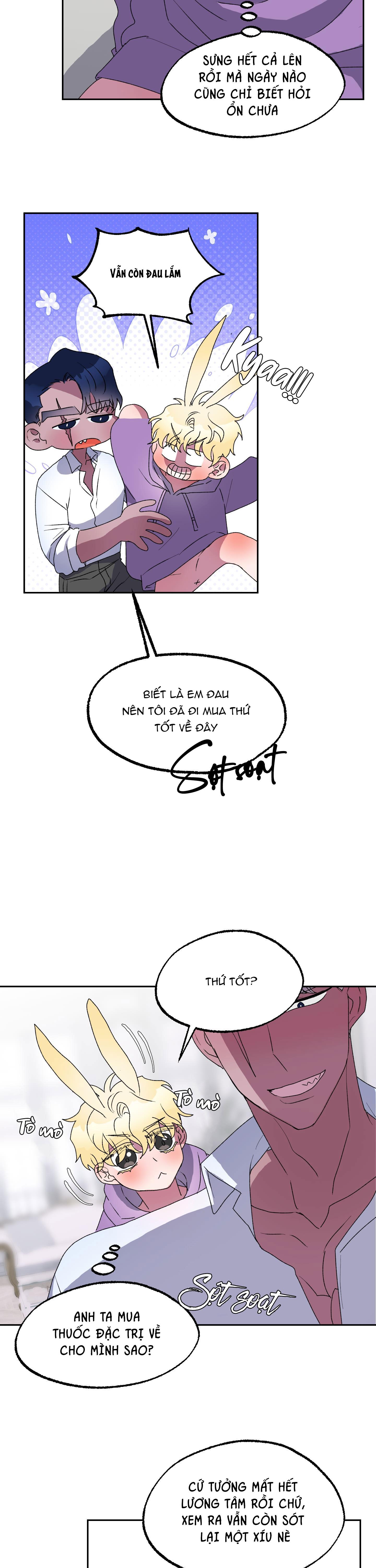 CÁ MẬP VÀ CÔ DÂU THỎ - Chap 11
