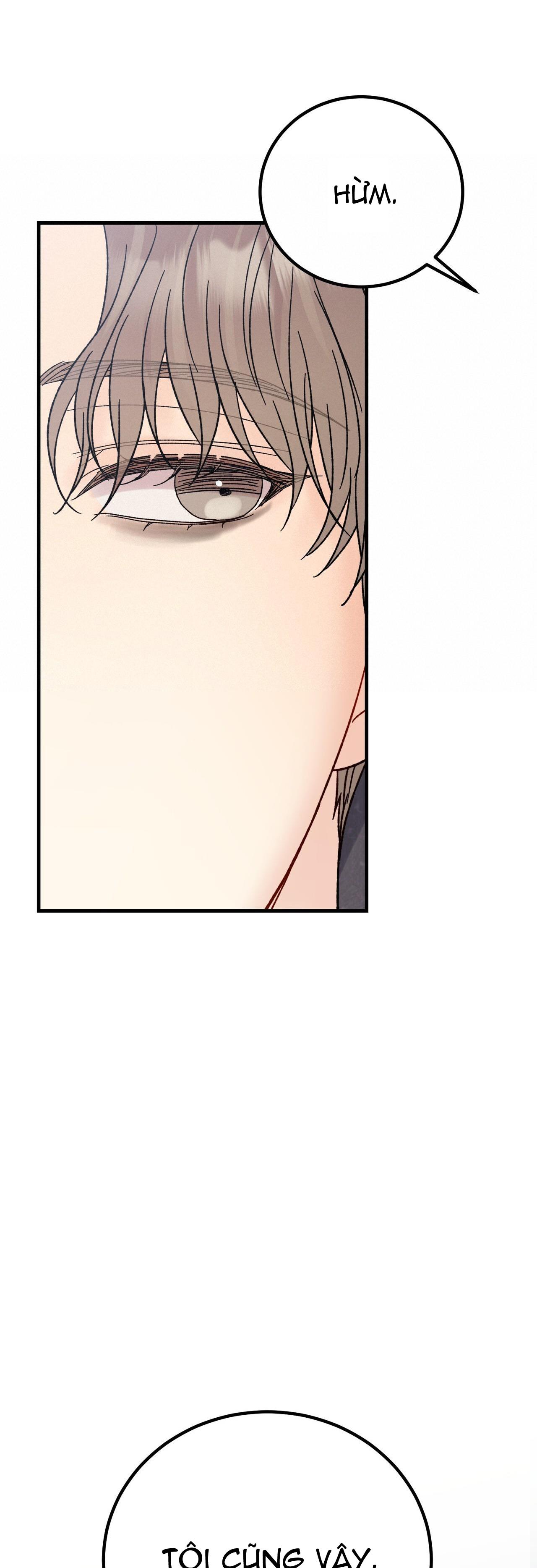 CẬU KHÔNG PHẢI LÀ GU CỦA TÔI - Chap 13