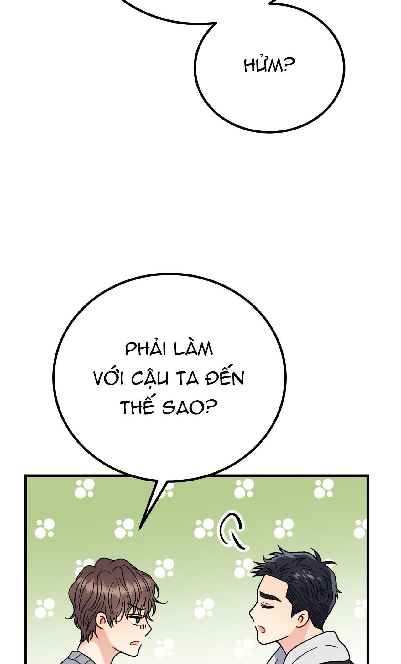 CẬU KHÔNG PHẢI LÀ GU CỦA TÔI - Chap 14