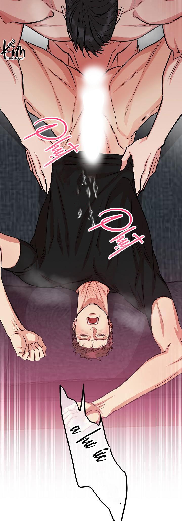 CHÓ VÀ CHIM - Chap 2