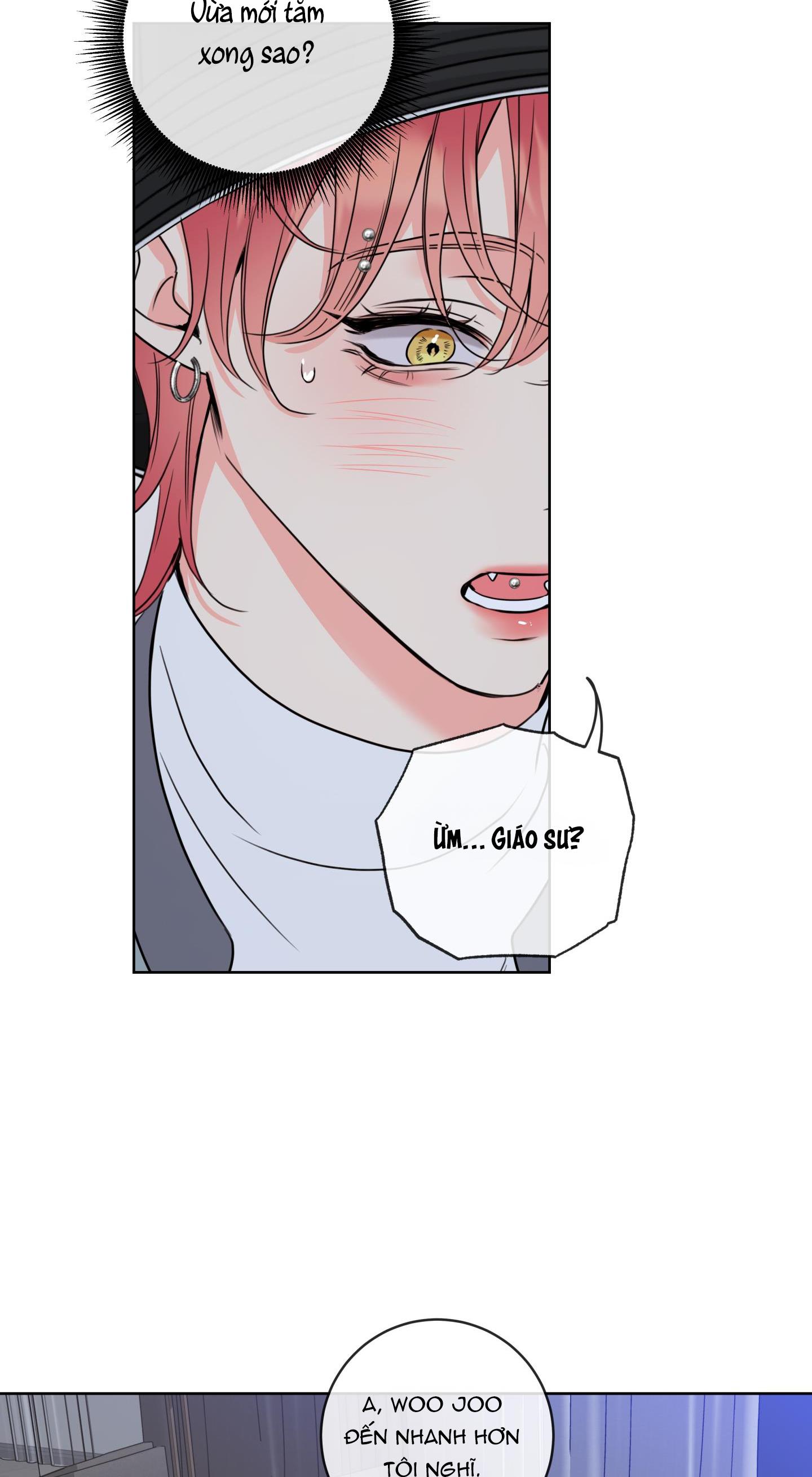 Honey Trouble - Chap 28