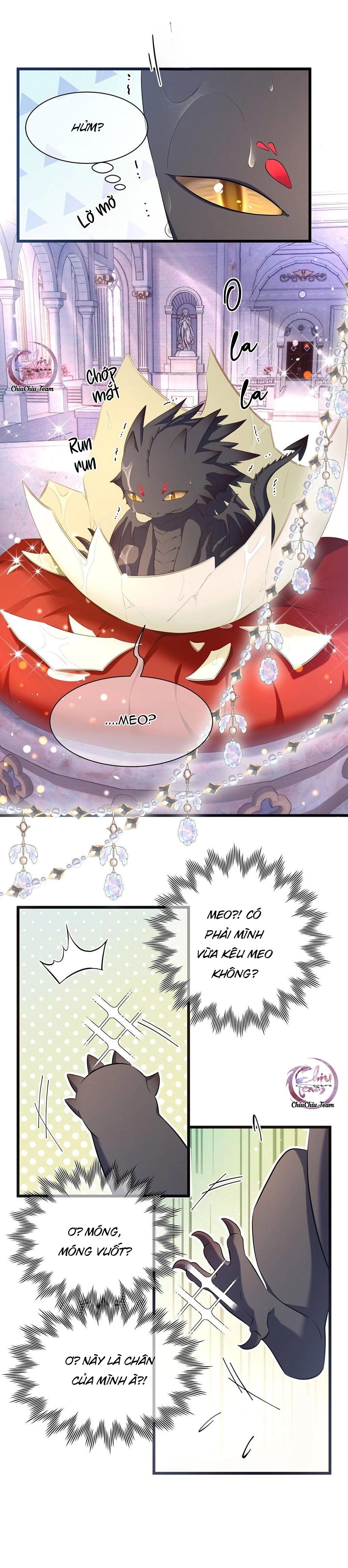 Tôi Tái Sinh Thành Tiểu Ác Long Của Hoàng Tử Điện Hạ - Chap 1