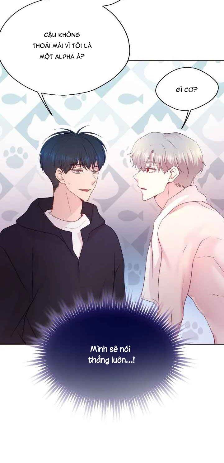 Bạn Đời Định Mệnh - Chap 2