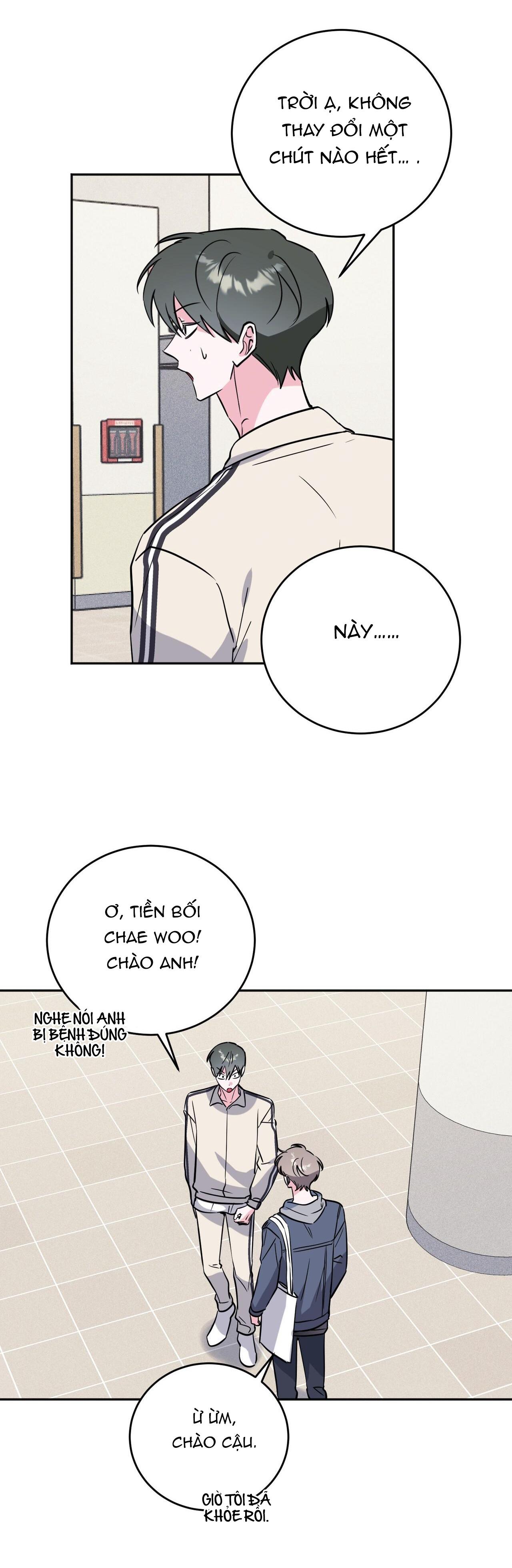 CẠM BẪY ĐẠI HỌC - Chap 80