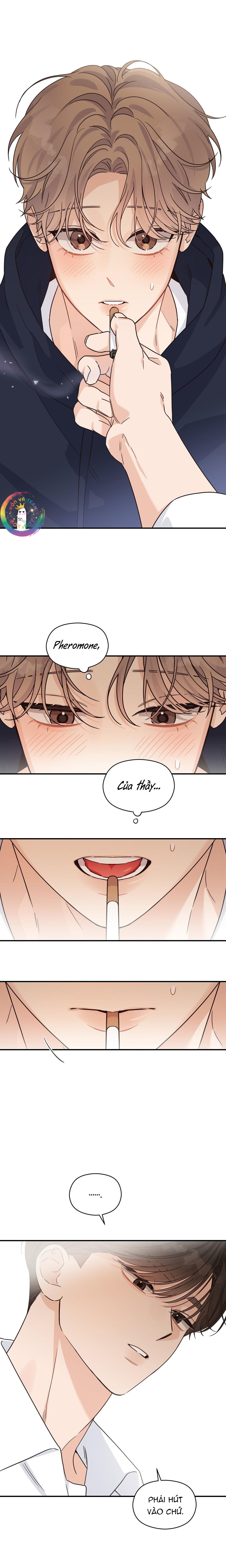 ✿ Vết Thương Alpha ✿ - Chap 15