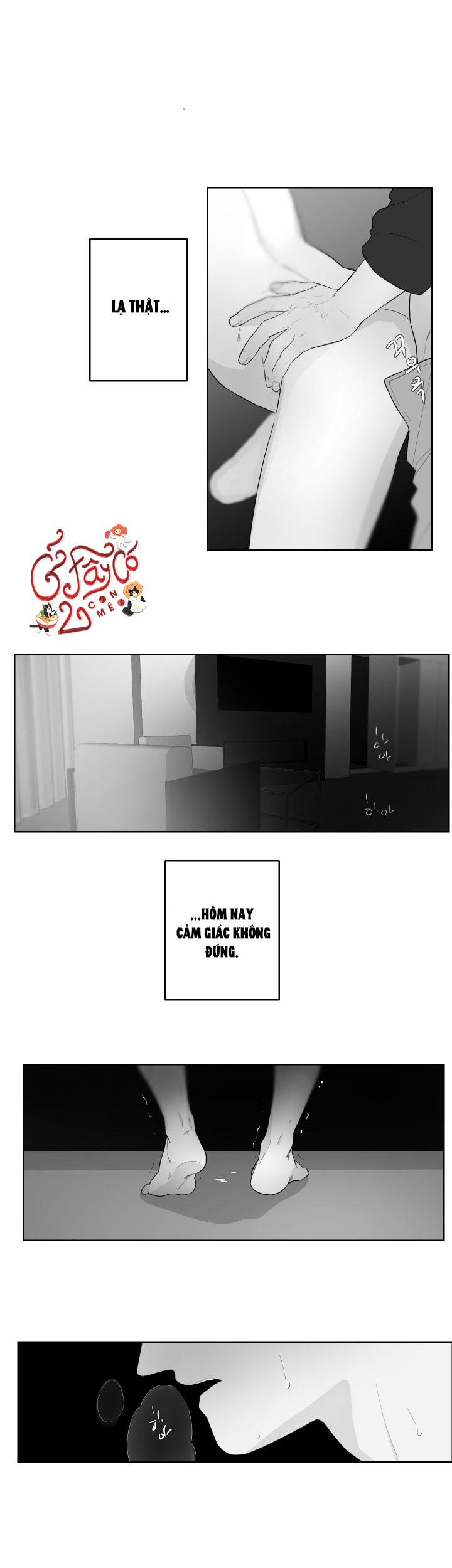 Vùng Đỏ - Chap 55