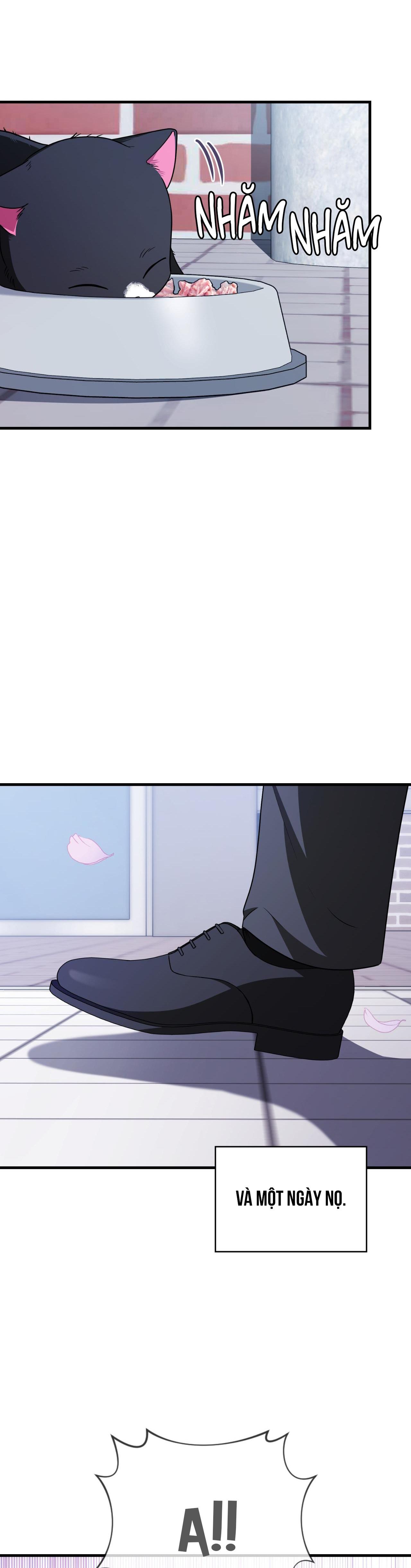 Guild member - Chap 52