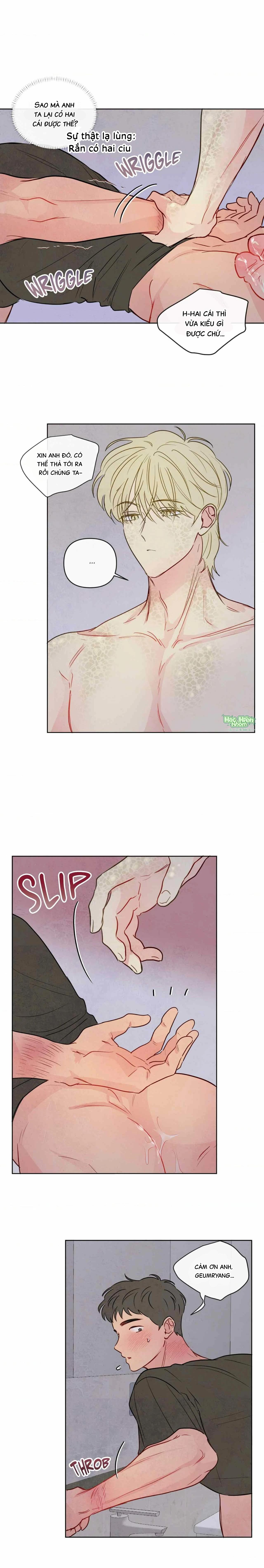 Sự quyến rũ của Thần Rắn - Chap 24