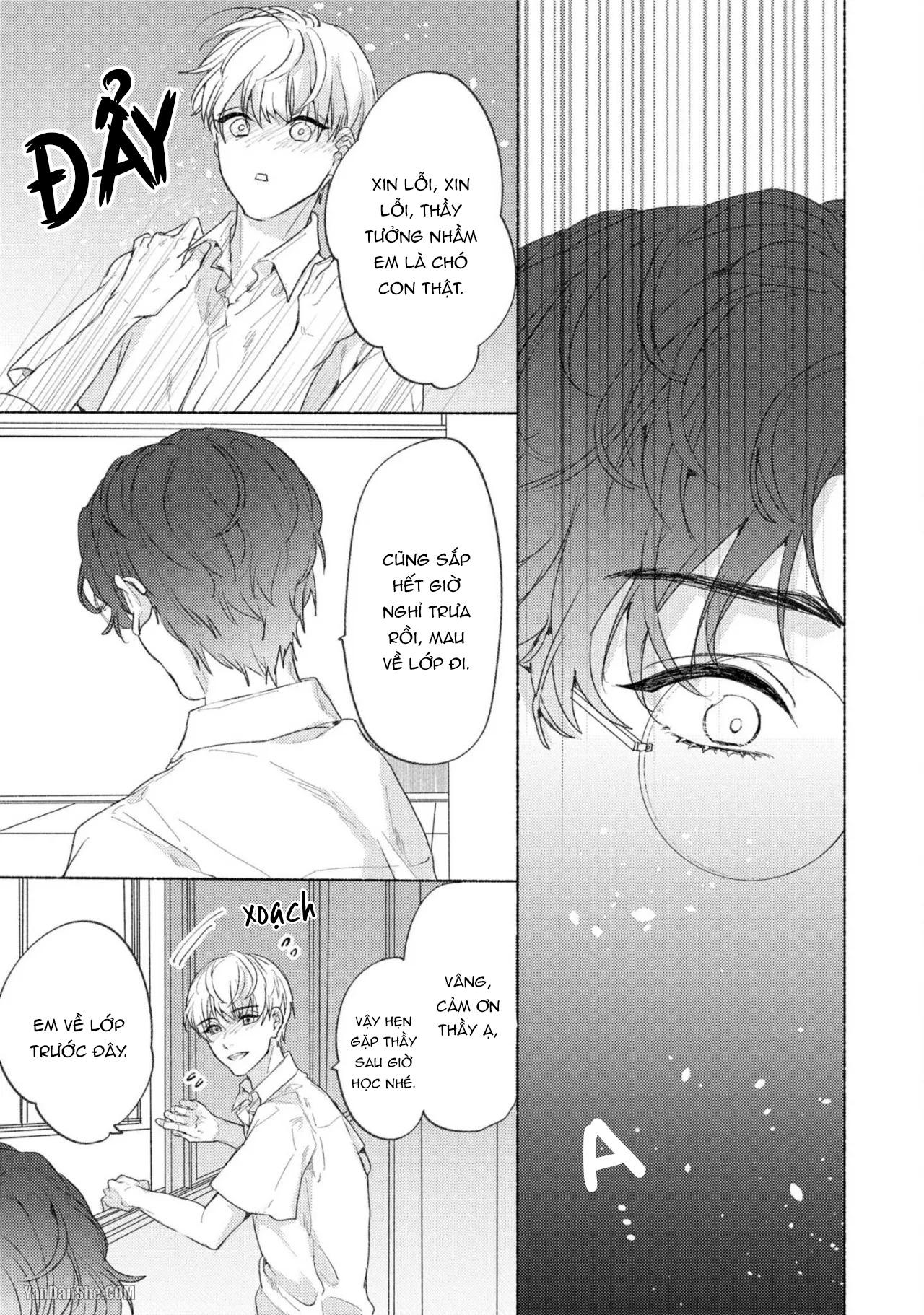 Thầy à, em không thể chịu đựng được nữa - Chap 2