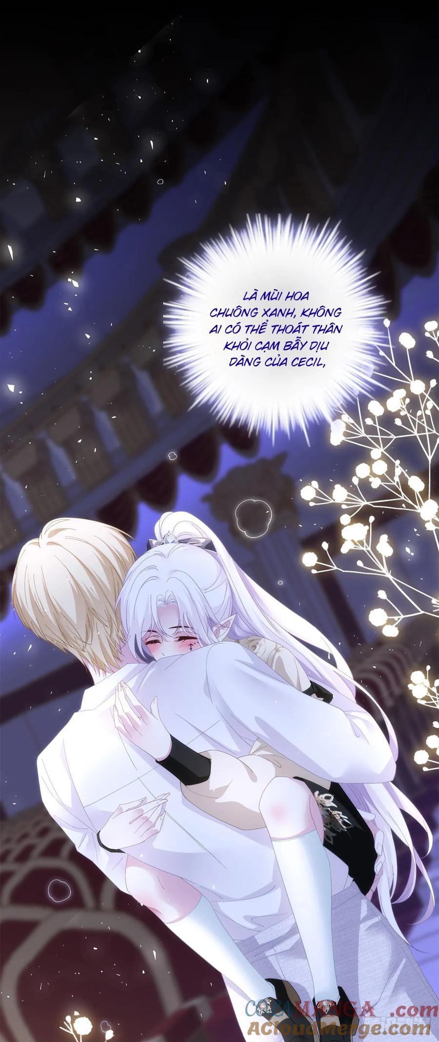 Thánh Tâm không dễ chọc - Chap 47